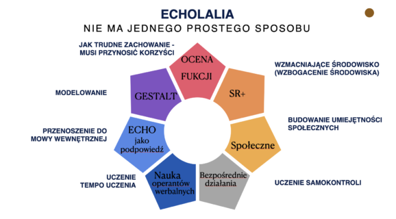 Echolalia – przegląd badań. Szkolenie online